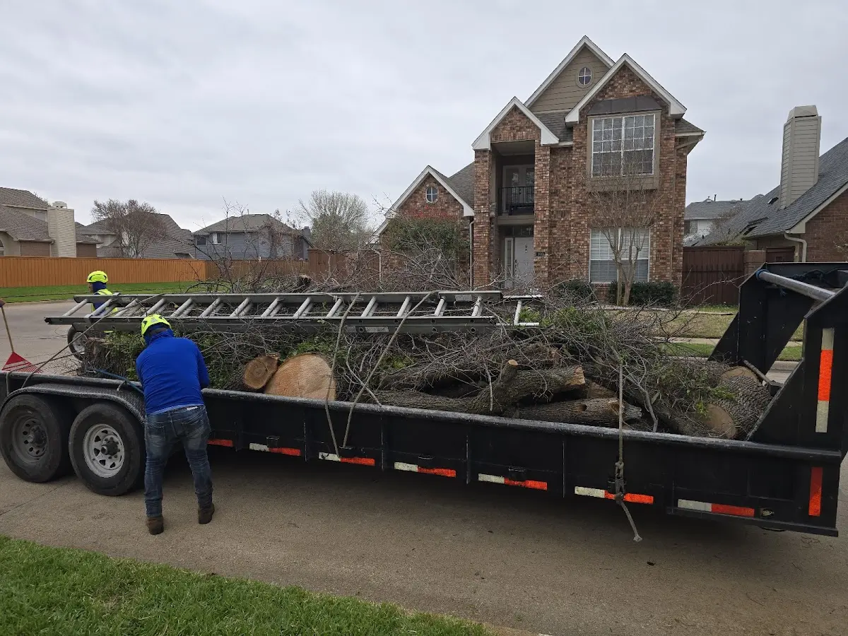 Expert Tree Fertilization with proper safety equipment in Bonanza
